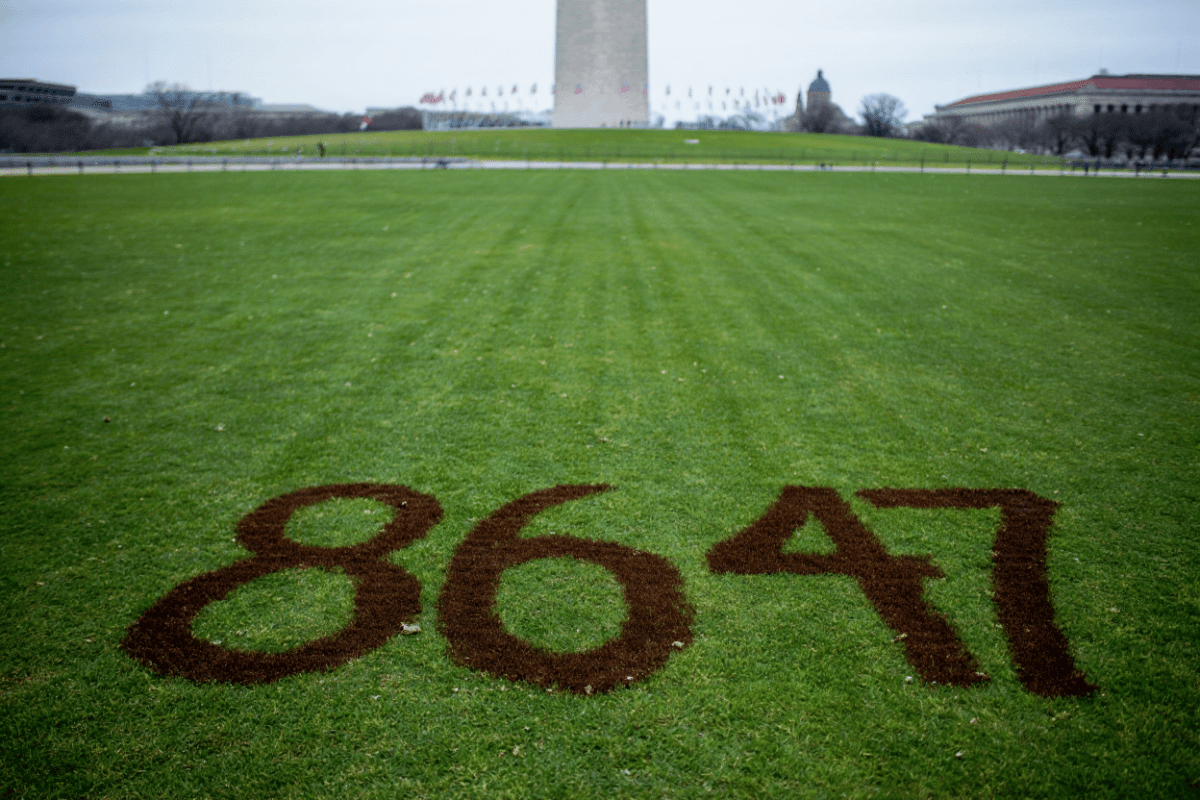 Washington Monument area sees '8647' protest numbers traced in National Mall grass