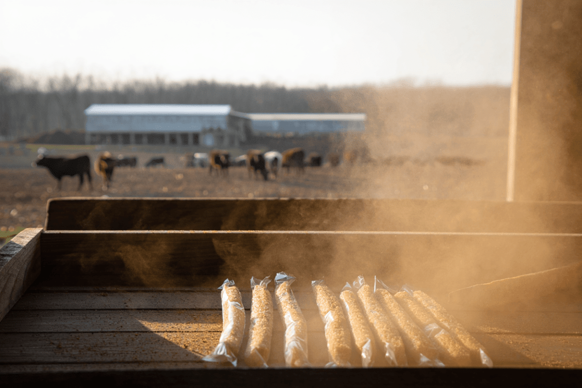Steven McBee Jr. Builds Snack Stick Empire While Washington Spends $500M on Beef Processors