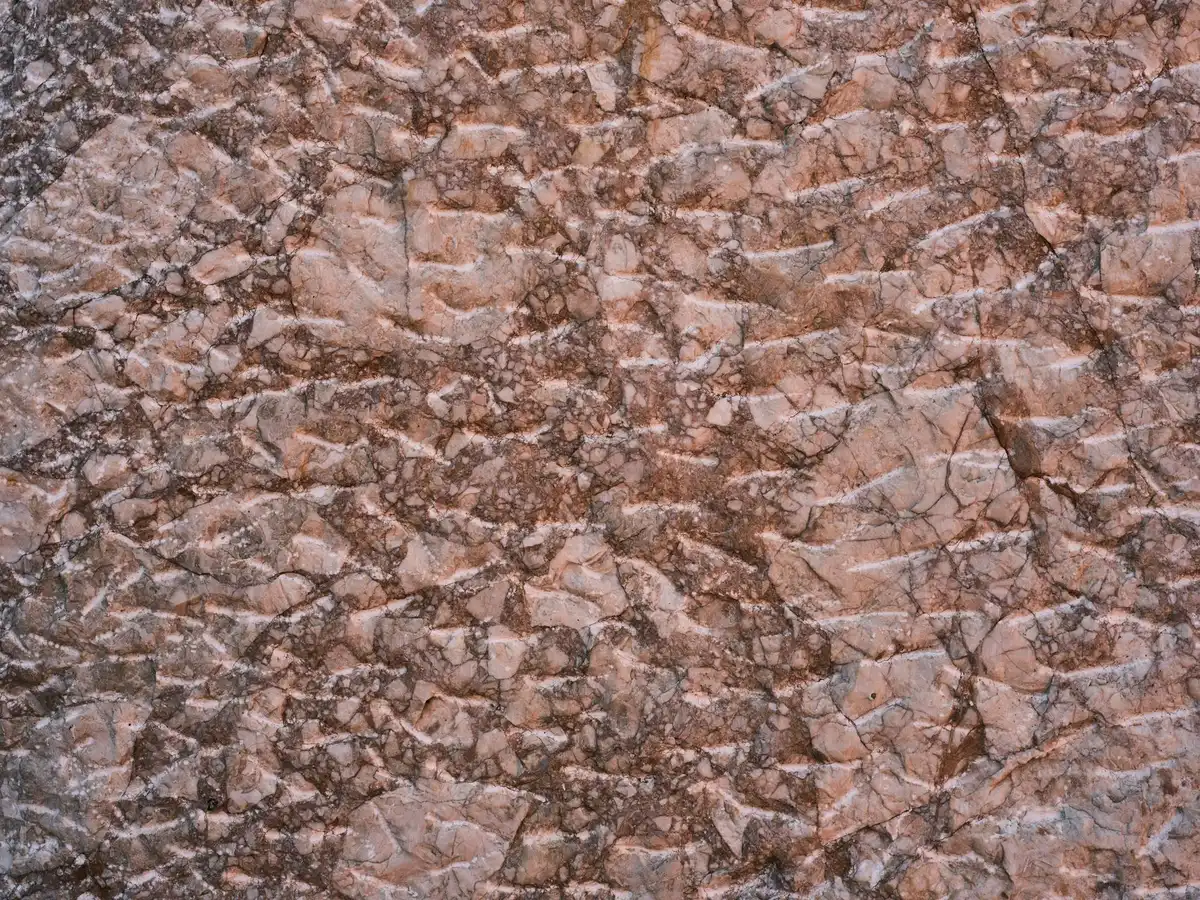 Close-up of Martian rock surface showing the intricate pattern of fine cracks forming small polygonal shapes, each edge sharp and defined. Reddish-brown Martian soil fills the cracks. Sunlight casts subtle shadows within the fractured surface.