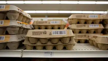 Eggs recalled as salmonella outbreak sickens nearly 100 across 17 states