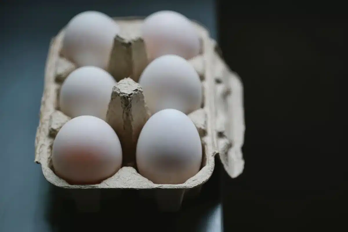 Cartons of eggs on a grocery store shelf, some marked with recall codes, fluorescent overhead lighting casting shadows across the packaging