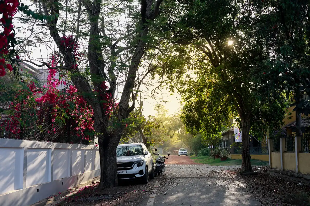 Bright morning sunshine over a calm suburban street with clear skies, gentle breeze moving tree branches, people outside in light summer clothing
