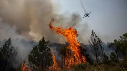 Prince William warns European wildfires are stark climate reminder