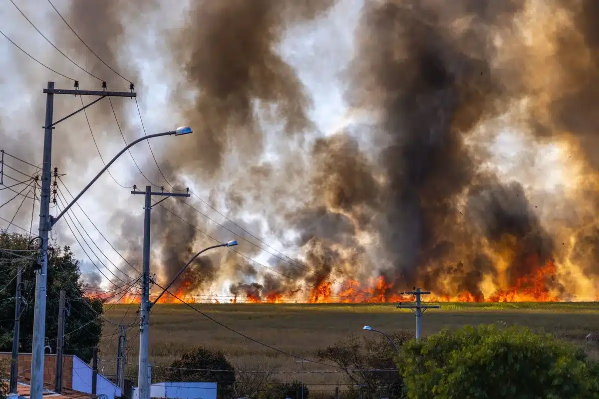 Raging wildfire consuming dry forest landscape with orange flames and thick smoke billowing into a hazy sky, firefighting aircraft overhead