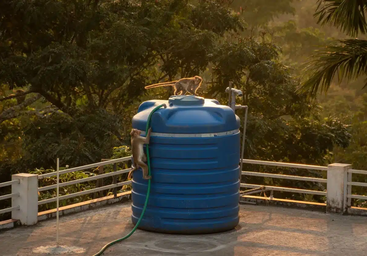Empty residential water tank mounted on a rooftop, rusted and disconnected, harsh sunlight casting sharp shadows, urban sprawl in background, afternoon haze