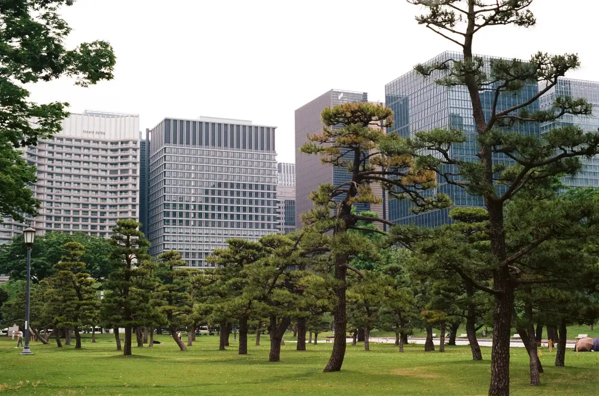 Bank of Japan building exterior in Tokyo, traditional architecture contrasting with modern cityscape, early morning light, solitary figure walking past, calm but purposeful atmosphere