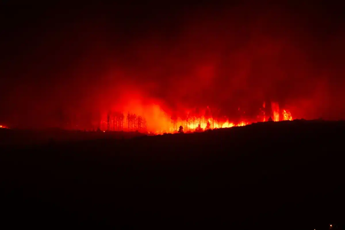 Wildfire evacuees gathered at an emergency reception center, cots arranged in rows, volunteers distributing supplies and food boxes, dim lighting suggesting early morning or late evening, faces blurred or turned away