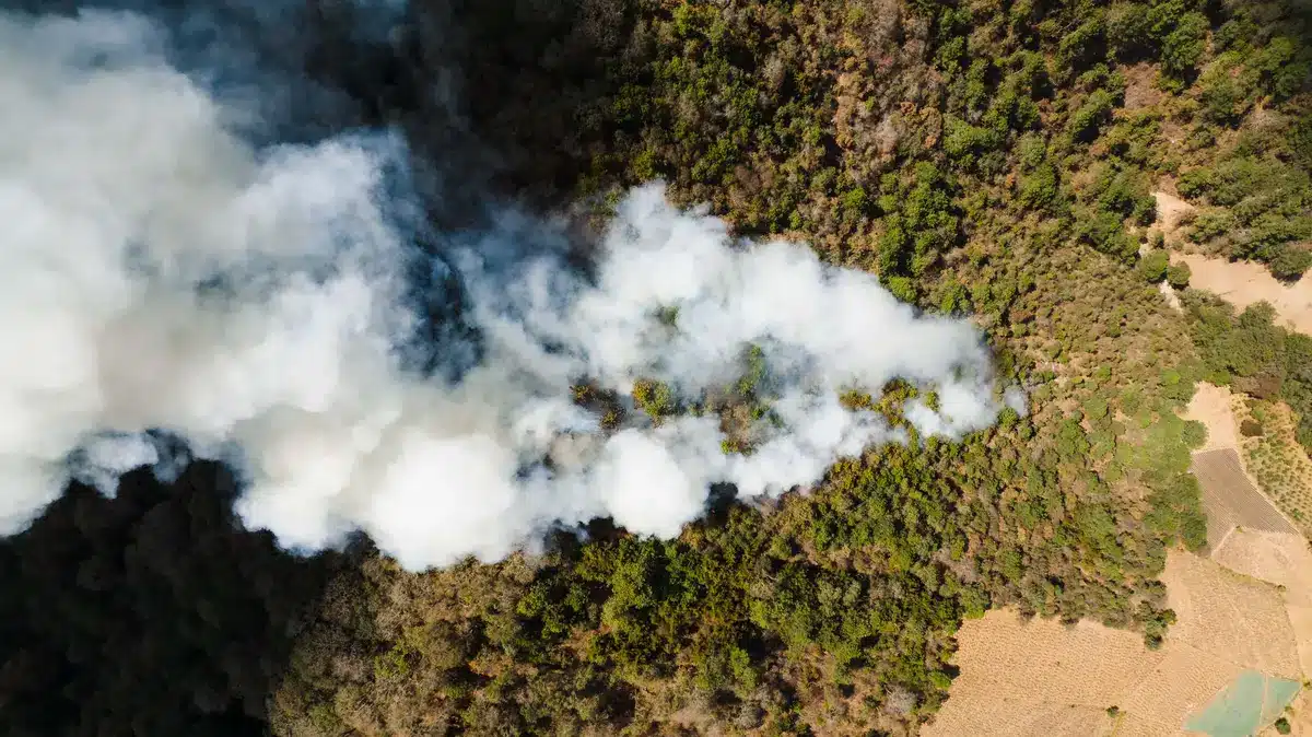 A wide aerial view of a massive wildfire at dusk, flames visible on a hillside above a dark valley, smoke plume rising into an orange-tinted sky, residential areas visible in the distance below the advancing fire
