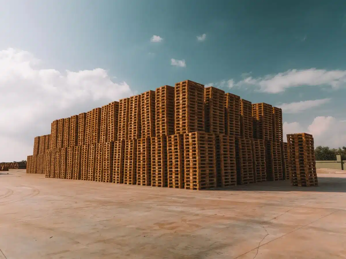 Raw beef packages stacked in a warehouse or distribution center, labeled with Argentinian establishment numbers and shipping marks, under bright warehouse lighting