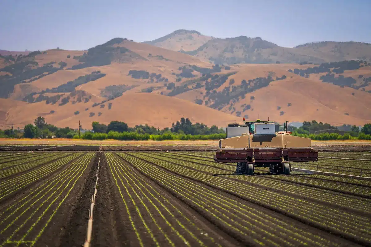 Tractor plowing lettuce rows under blue sky, rows of green crops visible in expansive Salinas Valley field, farm equipment in motion.
