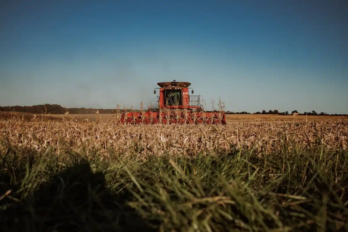 Combine harvester silhouetted against a dust-filled, hazy sky on a vast, barren field, the machine moving slowly through sparse, desiccated grain