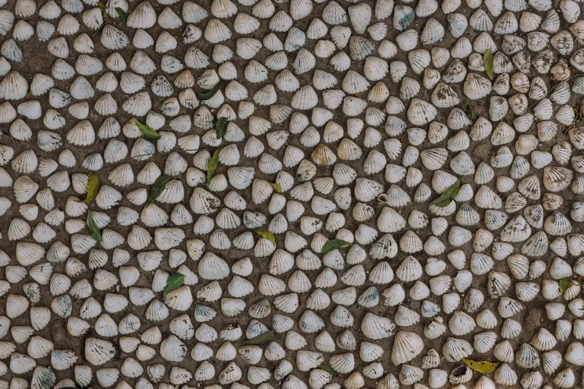 A laptop screen displaying a seashell photograph arranged in numbers, symbolizing the contested Instagram post at the center of the legal dispute