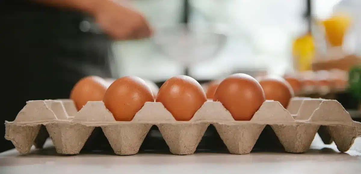 Carton of eggs with production code and sell-by date stamped on side, close-up detail