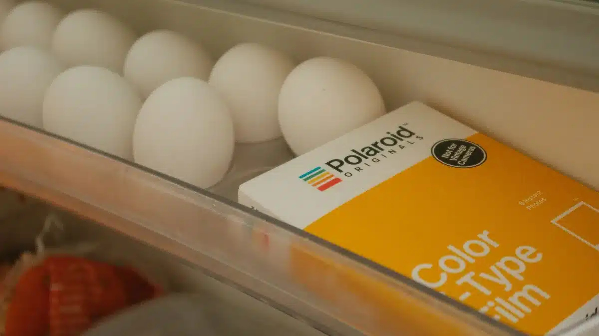 Grocery store refrigerated display case with multiple egg cartons, blurred background