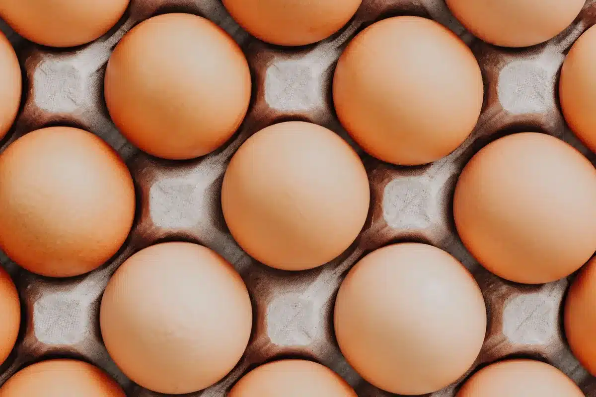 Stacked egg cartons in a grocery store refrigerator section, with visible brand labels and date codes on the side panels, fluorescent lighting reflecting off clear plastic packaging