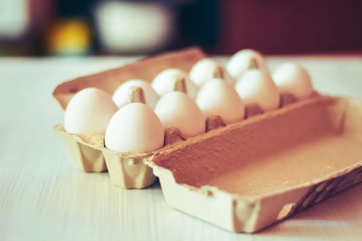 A close-up of an egg carton's side panel showing printed plant code, Julian date, and best-by date in date-coding ink