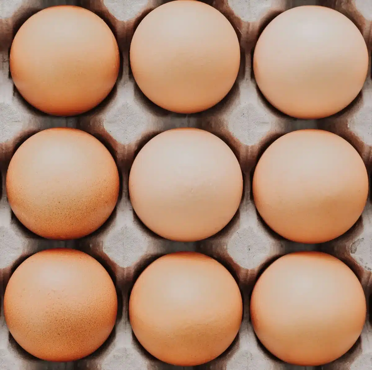 Cartons of white and brown eggs on a supermarket shelf, price tags visible, shelves partially empty, fluorescent lighting casting shadows across the products.