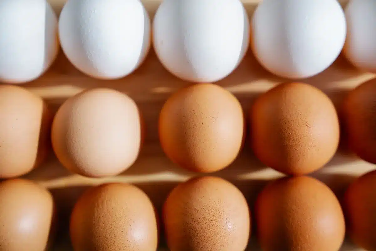 Close-up of an egg carton showing production date codes and sell-by date printed on the cardboard, with a magnifying glass highlighting the date, neutral background.