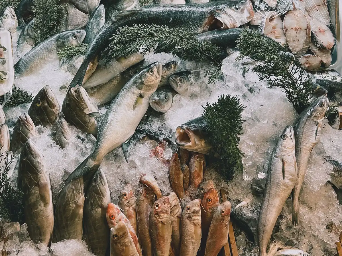 Stacks of fresh seafood on ice at a wholesale fish market, price tags visible, fluorescent market lighting creating cool tones, conveying supply chain pressure.