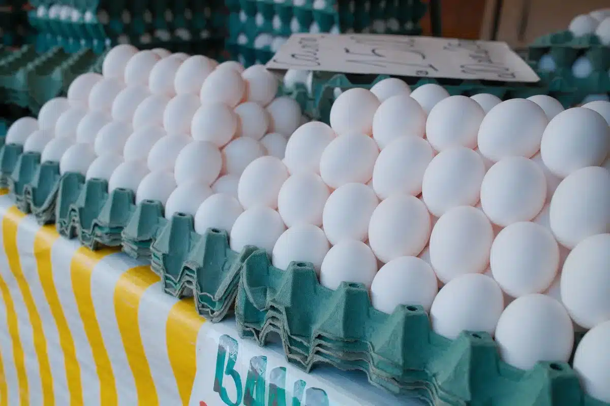 Cartons of eggs in a grocery store refrigerator, some with recall notices, shelves partially empty, harsh fluorescent light