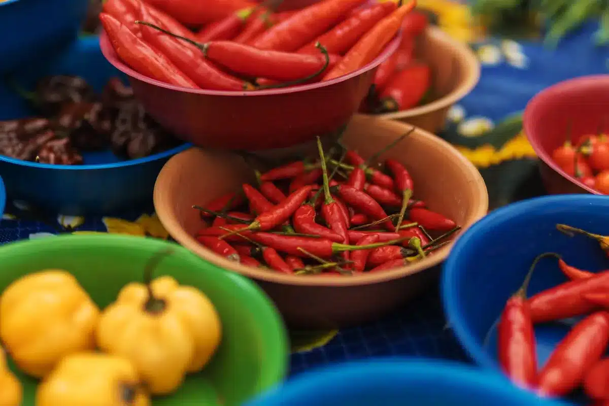 fresh jalapeño peppers in a produce bin with water droplets