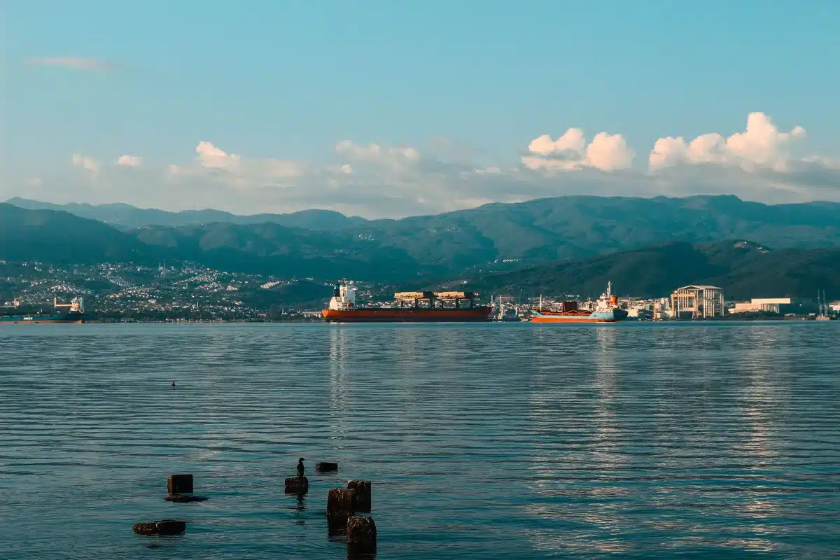 Dozens of oil tankers anchored in open waters, their hulls lined up in rows off a distant coastline, with smaller support vessels nearby, under hazy afternoon light