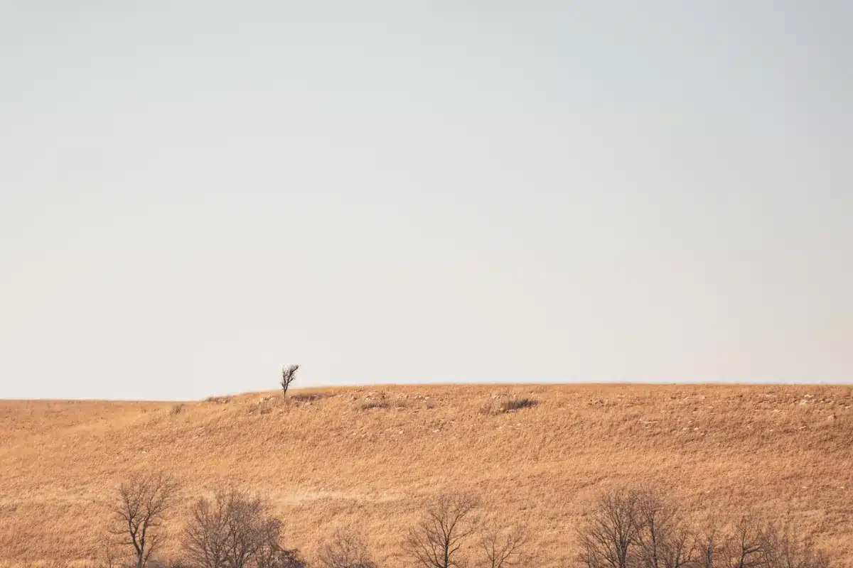 A rural Kansas landscape at sunset, a century-old stone farmhouse silhouetted against golden light, prairie grassland stretching to the horizon, quiet and timeless.