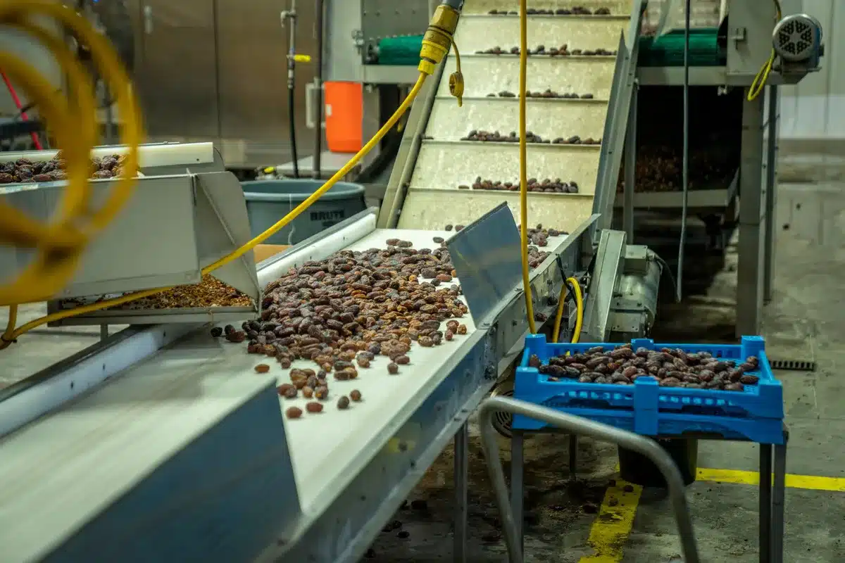 A production line of chocolate chip bags being packaged and prepared for shipment, industrial warehouse setting with conveyor systems