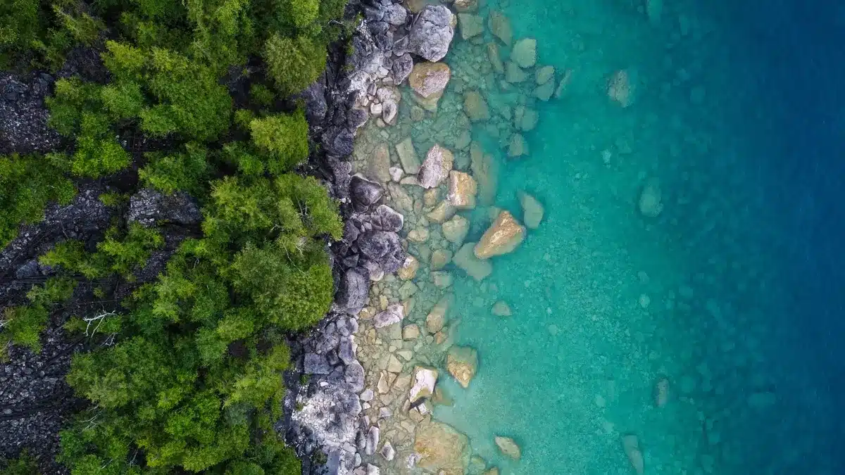 A serene lakeside shoreline with water lapping against sandy beach and grassy banks, calm surface under overcast sky, subtle evidence of erosion along the waterline