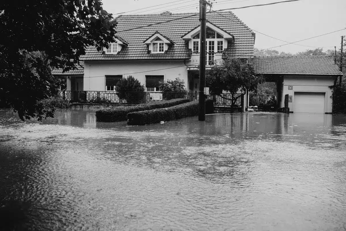 Weathered sandbags stacked along a waterfront property line, murky water visible beyond, overcast light emphasizing the defensive barrier