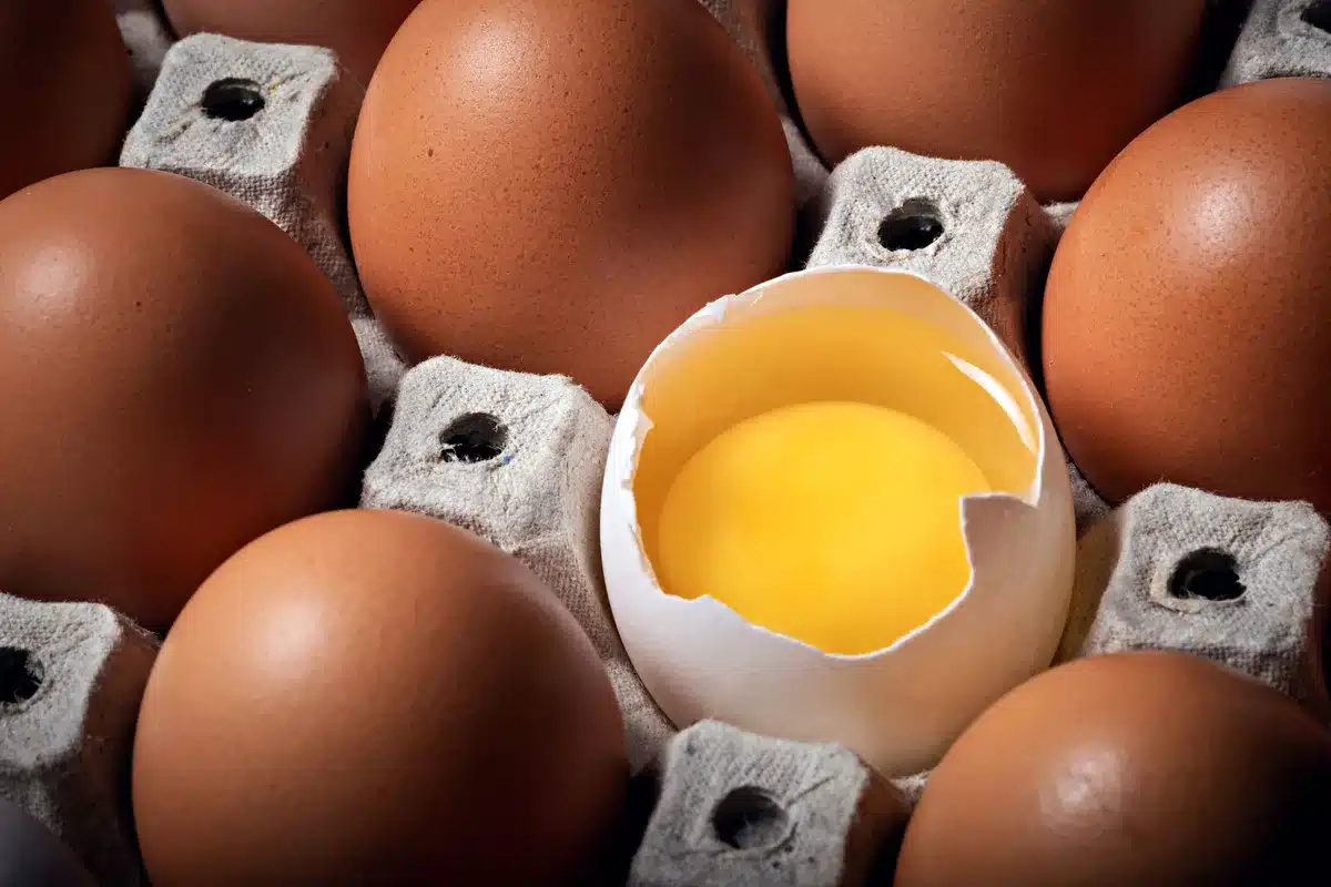 Cardboard egg carton with production codes and sell-by dates visible, sitting on a white surface with blurred kitchen background