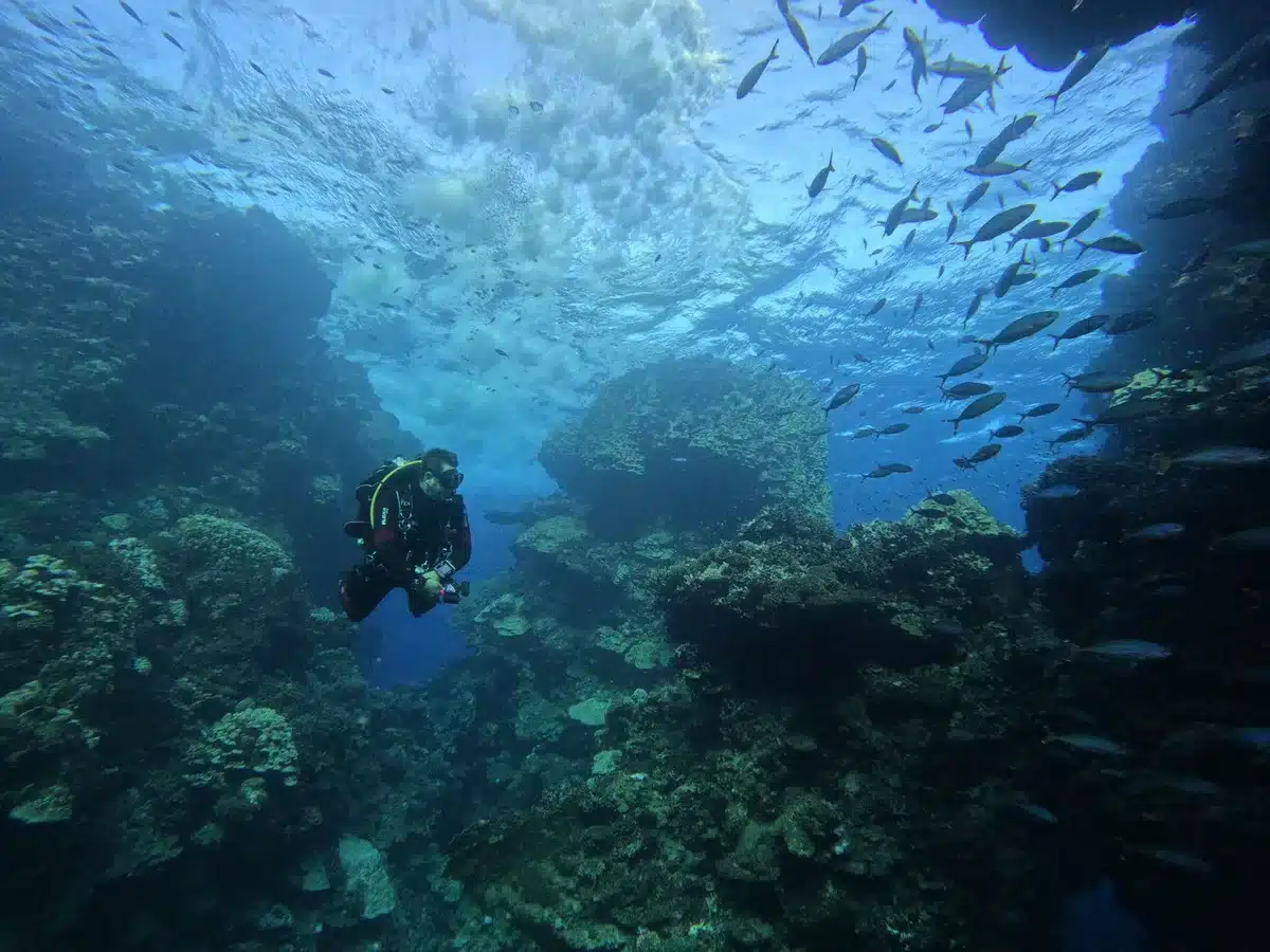 Navy divers and SEAL team members conducting underwater mine detection and disposal operations in shallow waters, using specialized equipment and diving gear, focused intensity visible in their posture and movement