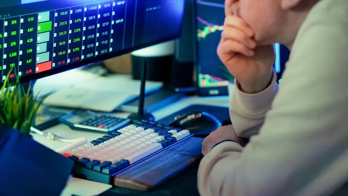 Portfolio building and stock research