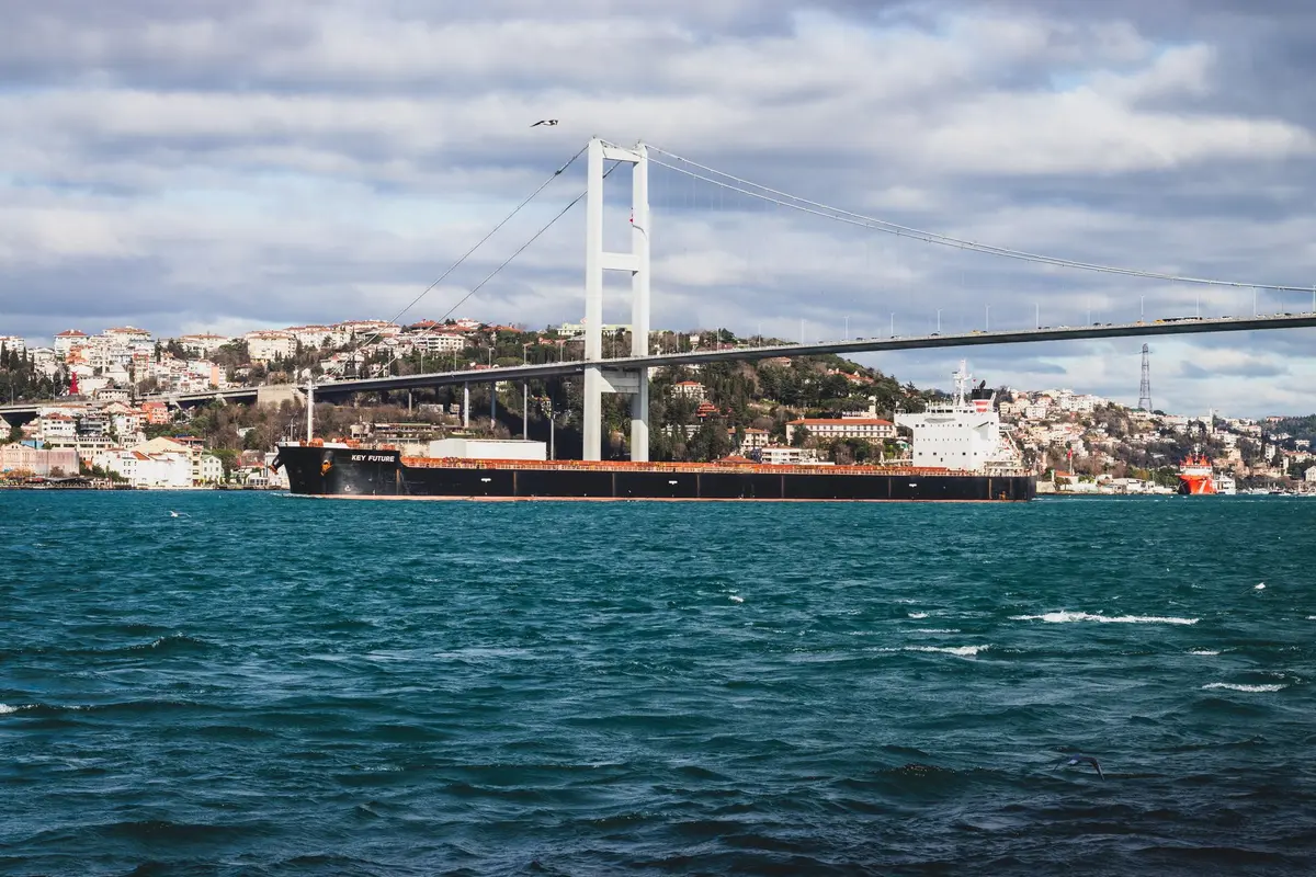 A modern cargo ship moving through narrow waters at sunset, with distant shorelines visible, symbolizing the global shipping dependency on this single passage.
