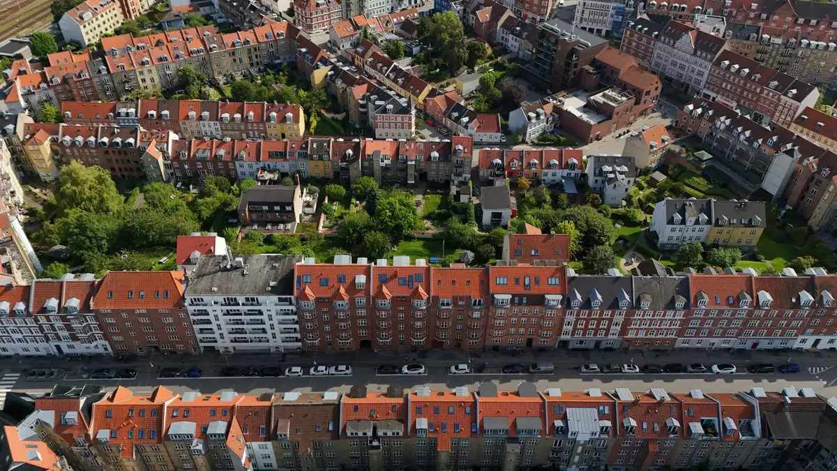 A residential neighborhood with diverse housing types including single-family homes, duplexes, and townhouses, tree-lined streets with varied architectural styles, afternoon light casting long shadows, representing housing diversity