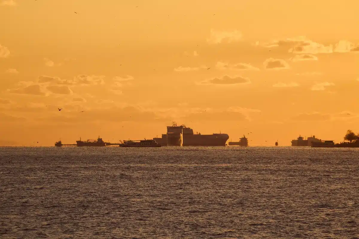 A cargo ship transiting blue waters, a distant coastline visible on the horizon, sunlight glinting off the water surface, the vessel appearing small against the vast sea