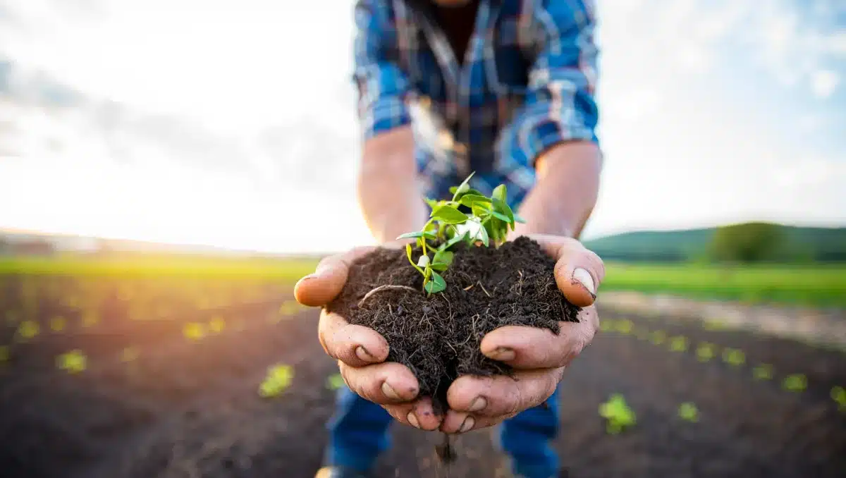 A farmer's hands holding soil with green plants sprouting, morning sunlight filtering through, soft focus background of open fields &mdash; growth.