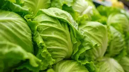 Taylor Farms cyclospora outbreak reaches 6,358 cases, 2 deaths