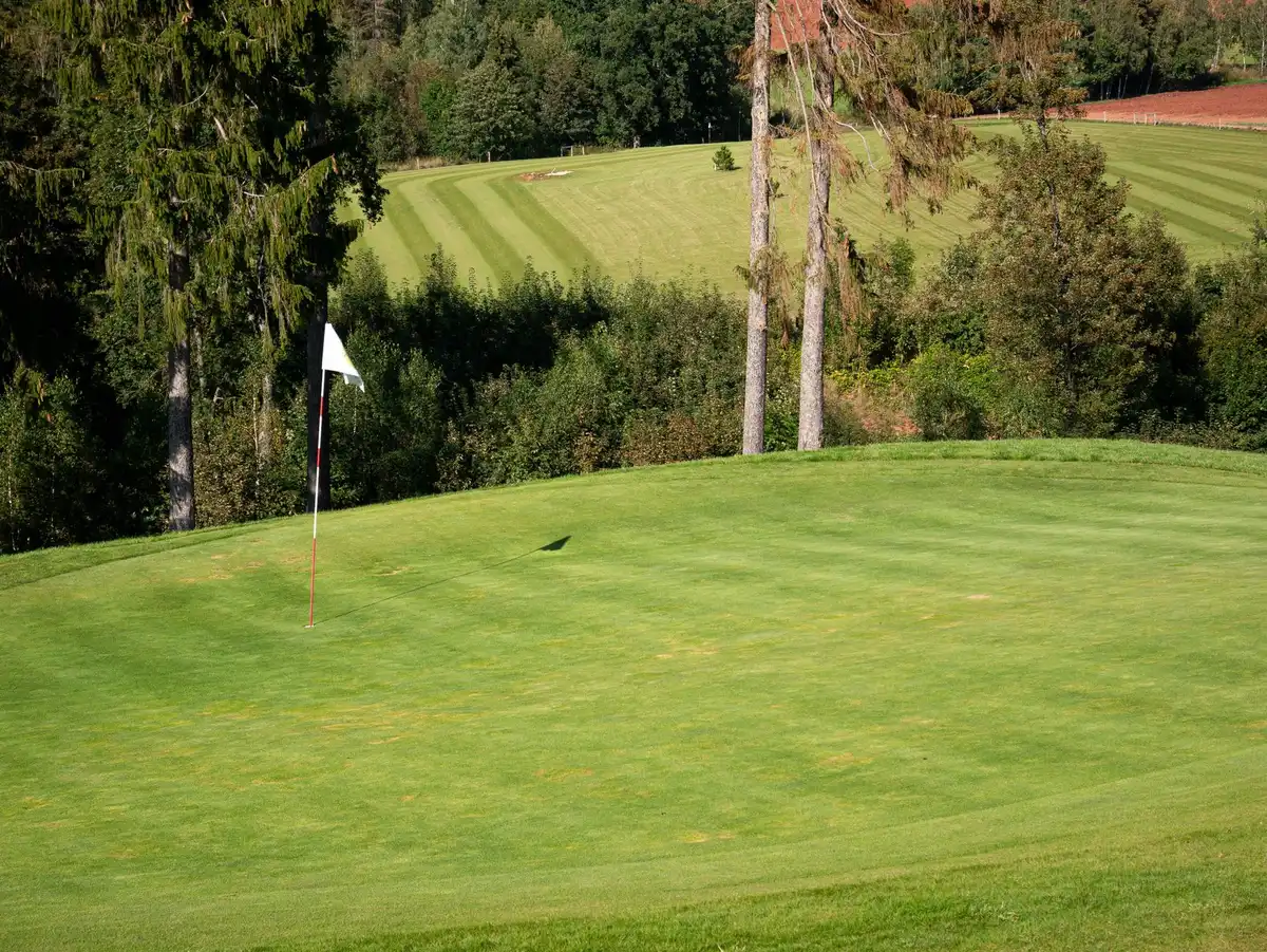 A golf course fairway at sunset, empty and pristine, a single divot mark in the grass catching the light, trees silhouetted against a golden sky, solitude and precision.