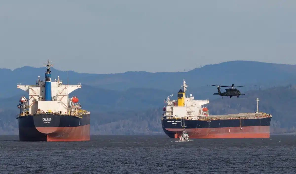 A cargo ship in calm waters, sunlight glinting off the water, the horizon clear and open, symbolic of trade routes