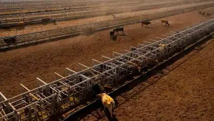 Tyson Foods restructures beef operations, closes Illinois and Utah plants