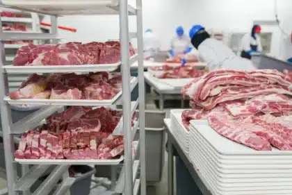 Tyson Foods closes Illinois beef plant, sells Washington facility amid cattle