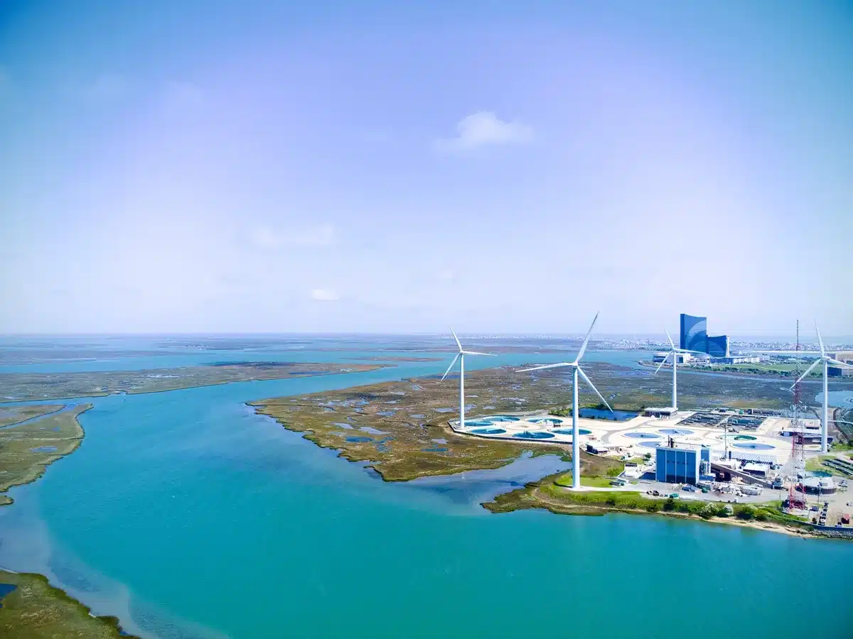 An offshore wind farm under construction, multiple turbine towers visible against a gray North Sea horizon, crane vessels positioned among the structures, overcast sky