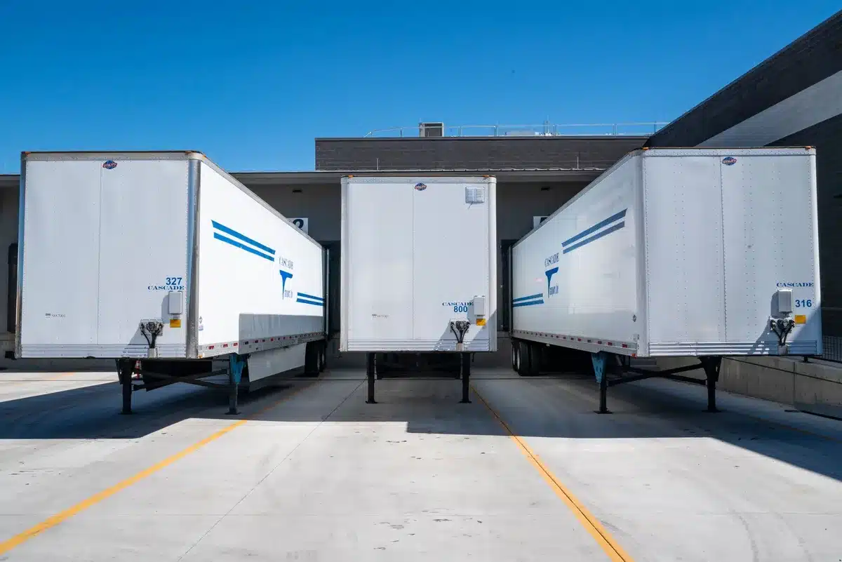 Livestock trailers parked at a holding facility, metal gates and fencing visible, dust rising from the ground, morning light casting long shadows across the pens, a sense of confinement and movement