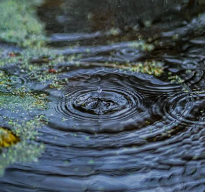 XRP surges 15% with $9 billion inflow as crypto gains momentum