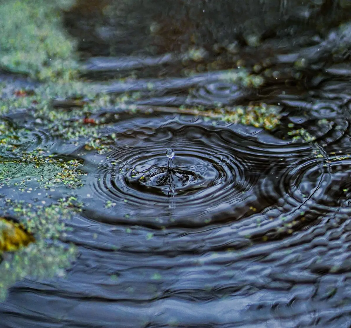 XRP surges 15% with $9 billion inflow as crypto gains momentum