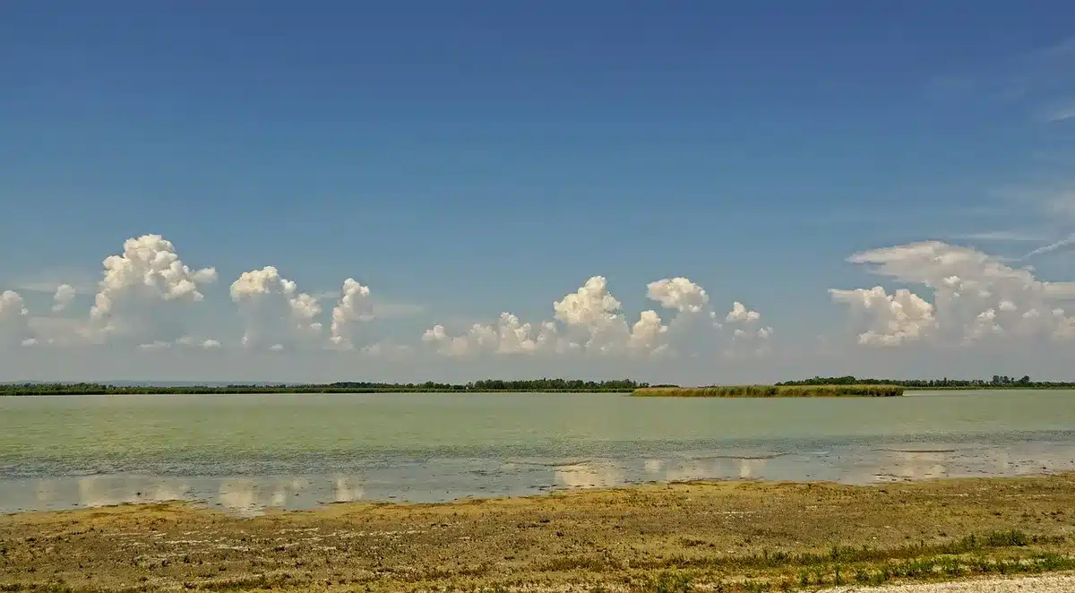 Empty reservoir shoreline with exposed rock walls and bleached mineral deposits marking previous water levels, showing the dramatic decline of water capacity.