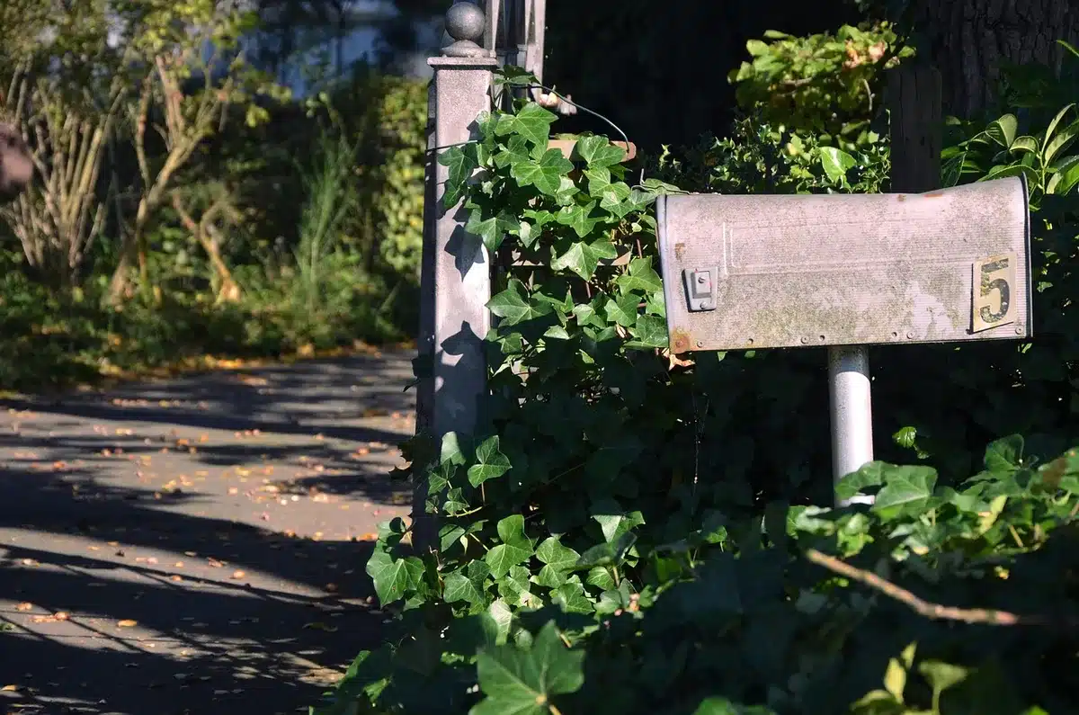Empty community mailbox at dusk beside a quiet suburban street, a single official envelope visible on the curb, no people or logos