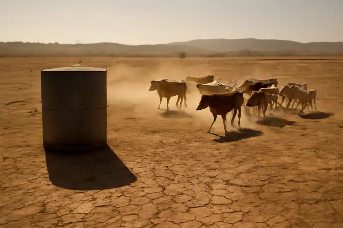 DOJ expands beef price probe to 8 major grocers including Walmart, Costco