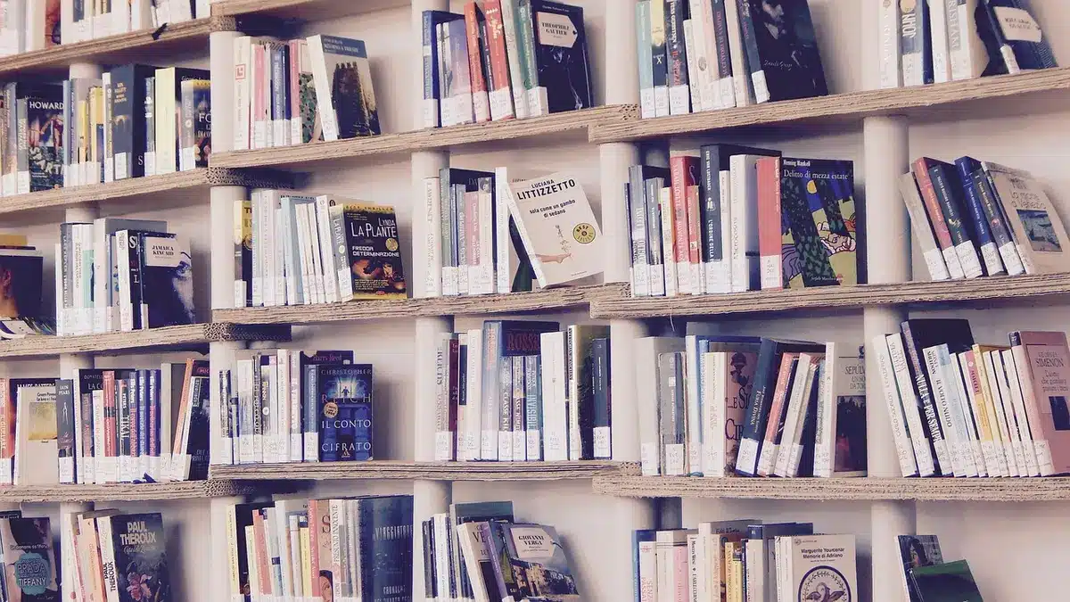 Rows of bookshelves holding thousands of documents in a reading room setting, with soft lighting illuminating the spines of bound files, creating an archive atmosphere.
